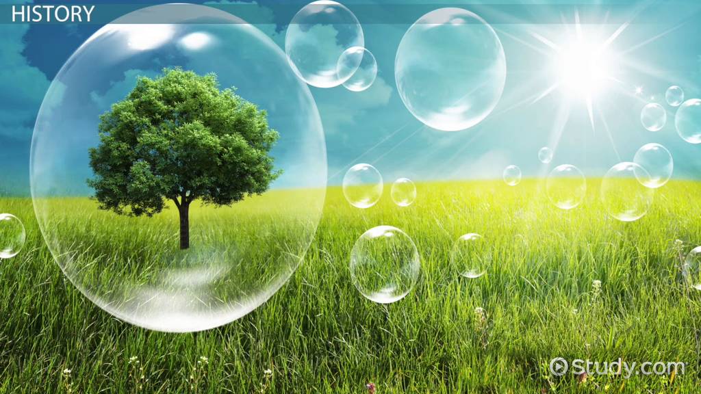Environment Program